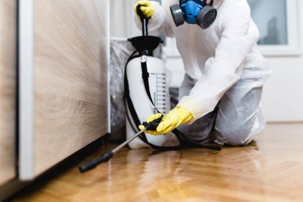 Best Mosquito Control Services  in Durant, MS