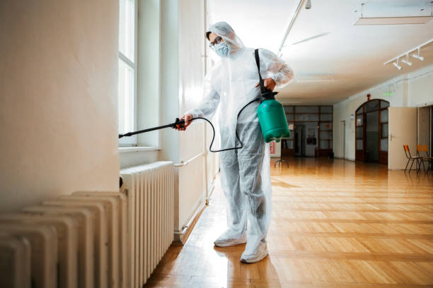 Best Termite Control Services  in Durant, MS